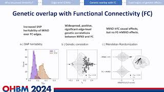 OHBM 2024  Oral Session  Isaac Sebenius  The Genetics of Structural Similarity Networks in the… [upl. by Alyahs]