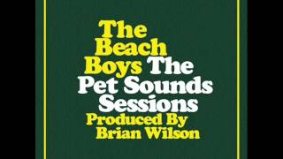 Beach Boys  Wouldnt It Be Nice Vocals Only [upl. by Regdirb]