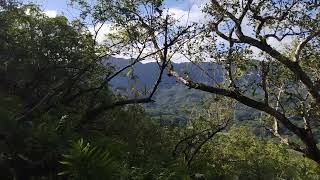 Video 3 Mt Olomana view shorts 1 amp 2 RColorado007 to get up to speed [upl. by Duwalt]