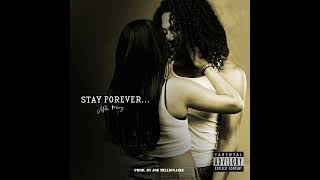 Mille Manny  Stay Forever Official Audio [upl. by Eilyac]