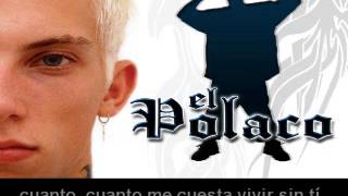 Has vuelto mi amor  Vuelve te lo pido XL con letra  EL POLACO [upl. by Ecenaj]