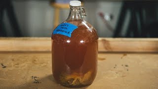 How to Make Your Own Mead [upl. by Llednor]