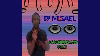 Los Urbanos Mix Vol 1 [upl. by Nerval631]