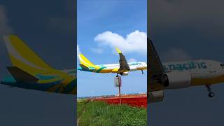 A Smooth Landing for CEB897 from Manila–nov15flt planespotting CebuPacificAir bicolrwy shorts [upl. by Akenor]