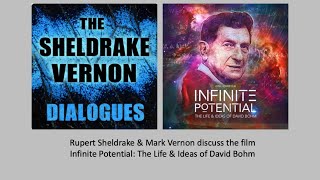 SheldrakeVernon Dialogue on David Bohm amp Infinite Potential [upl. by Lonier262]