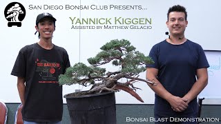 Yannick Kiggen  SDBC Oct 2024 [upl. by Keisling]