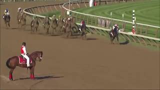 Top 50 Greatest American Racehorses [upl. by Nyla79]