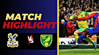 Crystal Palace VS Norwich  Highlights  England Carabao Cup  28 August 2024 [upl. by Enialahs]