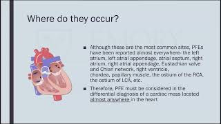 Cardiac Papillary Fibroelastomas Little Tumors with Big Consequences [upl. by Borek418]