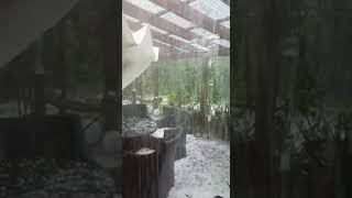 Unwetter in Feuerhof bei SulzbachRosenberg am 18 August [upl. by Nolyk383]