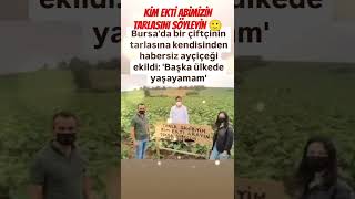 BURSADA BİR ÇİFTÇİ ABİMİZİN TARLASINI KENDİSİNDEN HABERSİZ BAŞKALARI EKTİBAŞKA ÜLKEDE YAŞAYAMAM [upl. by Coulson621]