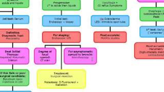 Dysphagia Part 1 of 2 [upl. by Hales]