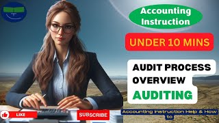 Audit Process Overview Auditing [upl. by Haelem164]