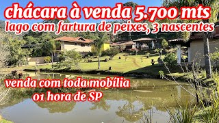 52 CHÁCARA À VENDA MOBILIADA LAGO NASCENTE POMAR 01 HORA DE SÃO PAULO 5700 MTS R 1200000 [upl. by Halimak]