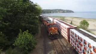 BNSF Freight Trains at Carkeek Park in Seattle Washington [upl. by Allred]