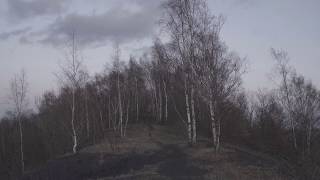 Terril  Trailer  IFFR 2019 [upl. by Marzi]