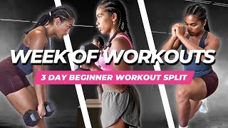 The Ultimate 3 Day BEGINNER Workout Split  WEEK OF WORKOUTS [upl. by Illak]