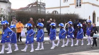 Karnevalszug und Karnevalskostüme beim Karneval Erkrath [upl. by Buckie489]