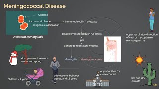 Meningococcal Infection [upl. by Di]