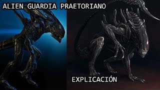 Alien Praetorian o Xenomorfo Pretoriano EXPLICADO [upl. by Glasgo]