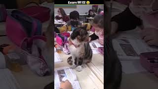 exam ke time mein ina Mina dika khel 🤣🤣shortvideo funny funnyanimal youtubeshorts [upl. by Najib]