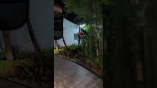 Duangjitt Resort amp Spa Phuket Thailand [upl. by Innavoj]