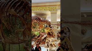 Smithsonian National SmithsonianMuseum WashingtonDC NaturalHistory SmithsonianNaturalHistory [upl. by Apfelstadt]