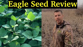 Eagle Seed Soybeans Review and Results  Best Deer Food Plot [upl. by Roderich]