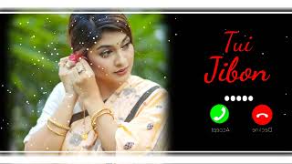 Tui Jibon Natok Ringtone  তুই জীবন Musfiq R Farhan  Aisha Khan  Bangla New Natok Ringtone 2024 [upl. by Lienahs917]