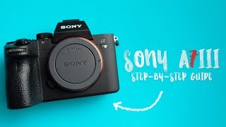 BEST Settings for the SONY A7III  A StepbyStep Guide [upl. by Imyaj138]