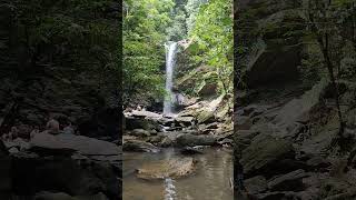 The beautiful Avocat Waterfall Trinidad [upl. by Lundgren]