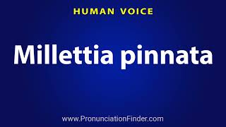 How To Pronounce Millettia pinnata [upl. by Giglio]