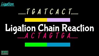 Ligation Chain Reaction  LCR Amplification [upl. by Eniamzaj651]