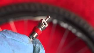 HOW TO REMOVE AND REPLACE A SCHRADER VALVE CORE BICYCLE WHEEL [upl. by Jagir]