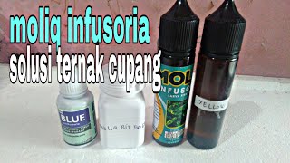 UNBOXING paket INDOBETTA sekaligus review burayak cupang setelah sebulan pemakaian MOLIQ [upl. by Lehctim]