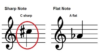 How To Read Music  Accidentals  Sharps and Flats on the Staff  Piano Lesson 12 [upl. by Bradway]