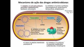 Curso de Farmacologia Aula 29  Introducao a antibioticoterapia [upl. by Eamanna394]