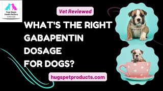 Whats the Right Gabapentin Dosage for Dogs Vet Reviewed [upl. by Bobbette8]