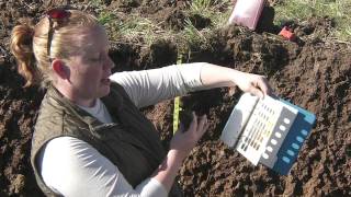 Soil Profiling Color [upl. by Erehs]