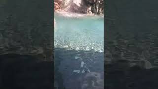 🌊Guhantara resort water falls Bangaloreresort waterfall water shorts bangalore holiday happy [upl. by Ashjian142]