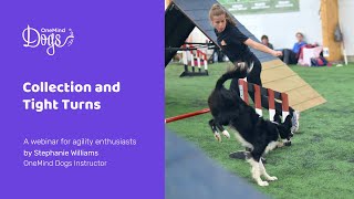 FREE Dog Agility Webinar Collection and Tight Turns [upl. by Oznole]