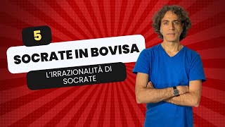 Filosofia di strada – Socrate Pillola 5 [upl. by Pia]