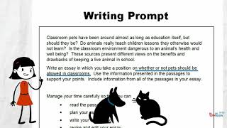 Analyze a Writing Prompt [upl. by Solrac580]