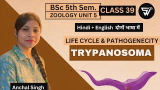 TrypanosomaStructureLife cycle PathogenicityCaused disease symptoms amp their controlParasitology [upl. by Selinski693]