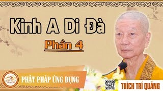 Kinh A Di Đà phần 4  Hòa Thượng Thích Trí Quảng [upl. by Aili]