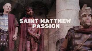 quotErbame Dich Mein Gottquot  Saint Mathew Passion  Bach  Magdalena Kozená [upl. by Papp893]