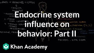 Endocrine system and influence on behavior  Part 2  Behavior  MCAT  Khan Academy [upl. by Eizdnil]