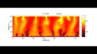 Rayleigh number Ra2000 Fortran  MatLab [upl. by Pillihp]