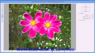 Photoshop Elements 12 Tutorial The Liquify Command Adobe Training Lesson 1310 [upl. by Inga]