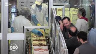 Da Cesena a Cesenatico documentario citta romagnole Fontana Masini Biblioteca pesca piadina Geo [upl. by Adan969]